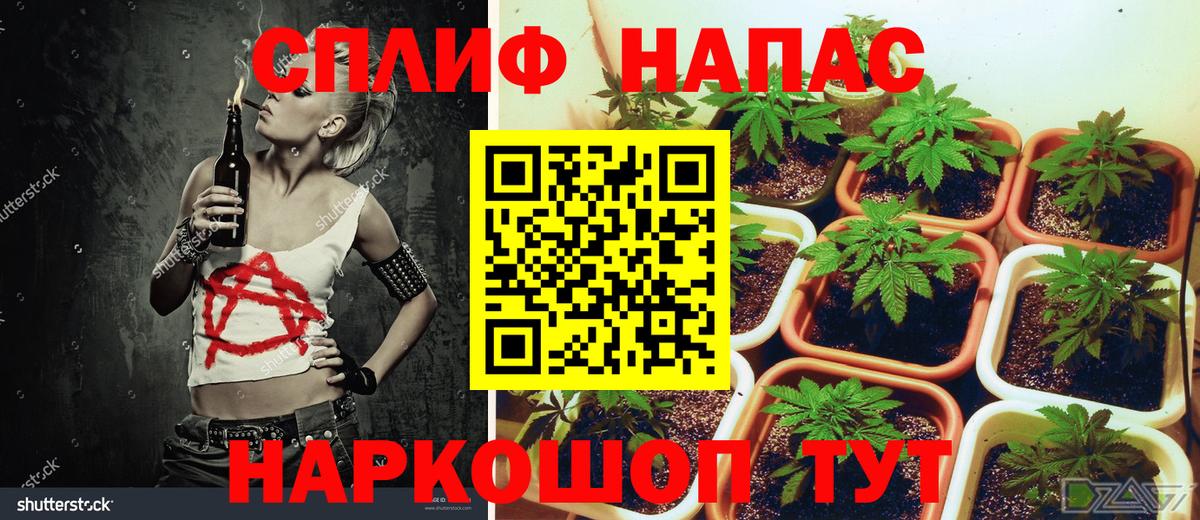 Бошки Шишки AK-47  Вход с VPN  Бошки Шишки планчик  Феодосия 